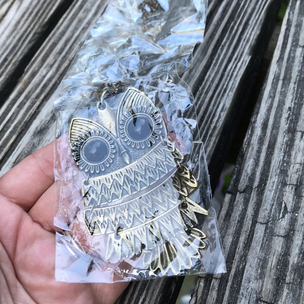 2/$10 New Large Owl Pendant Bronze Boho Festival Necklace Chain New